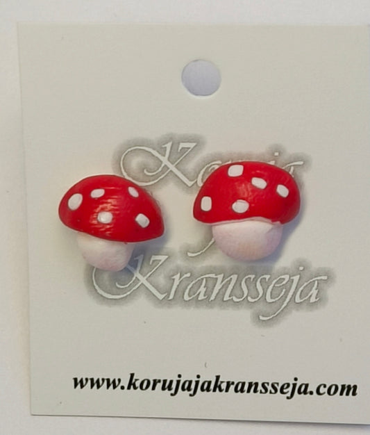 Sieni Nappikorvakorut